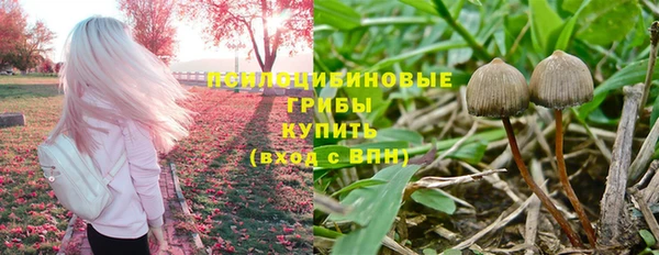 ECSTASY Армянск