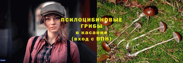 MESCALINE Алзамай